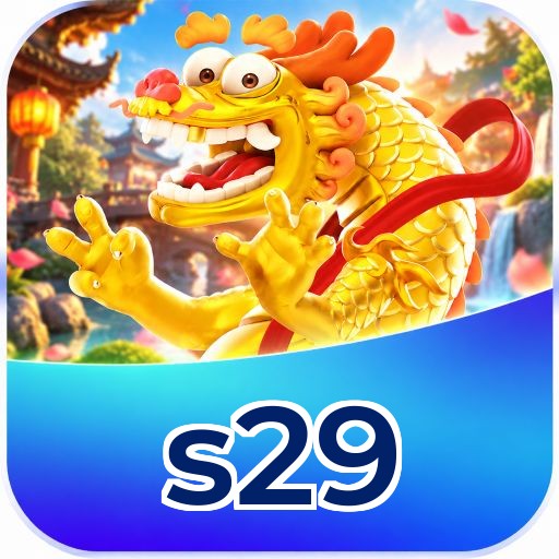 s29 Logo
